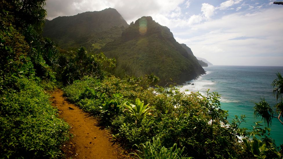 Depuis 2019, seuls 900 visiteurs par jour peuvent parcourir le célèbre sentier Kalalau le long de la côte Na Pali de Kauai (Crédit : Cavan Images/Getty Images)