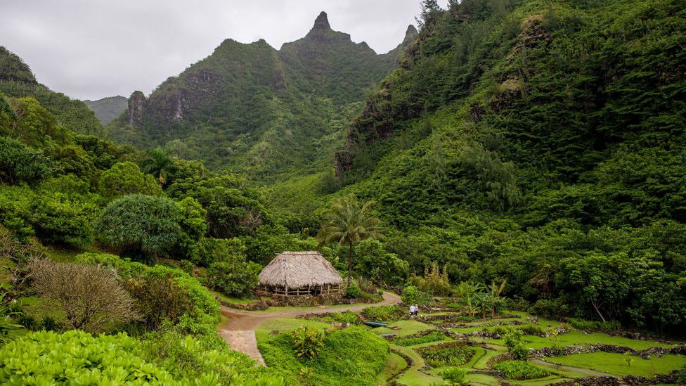 Hawaii's ancient land management system - BBC Travel