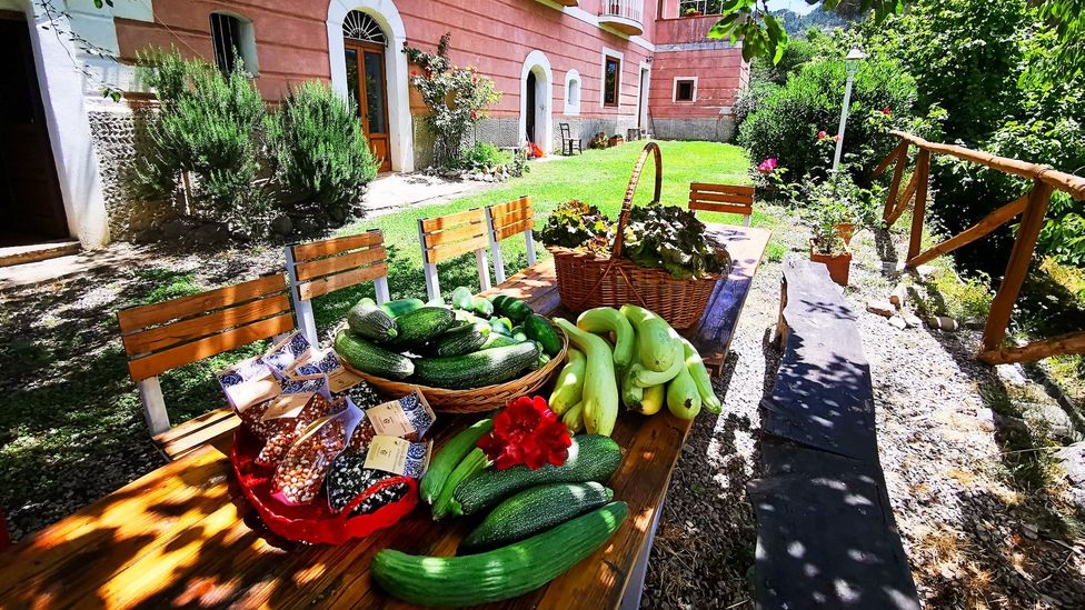 Agriturismo Cuca is a hillside cottage and organic farm (Credit: The Heart of Sicily)