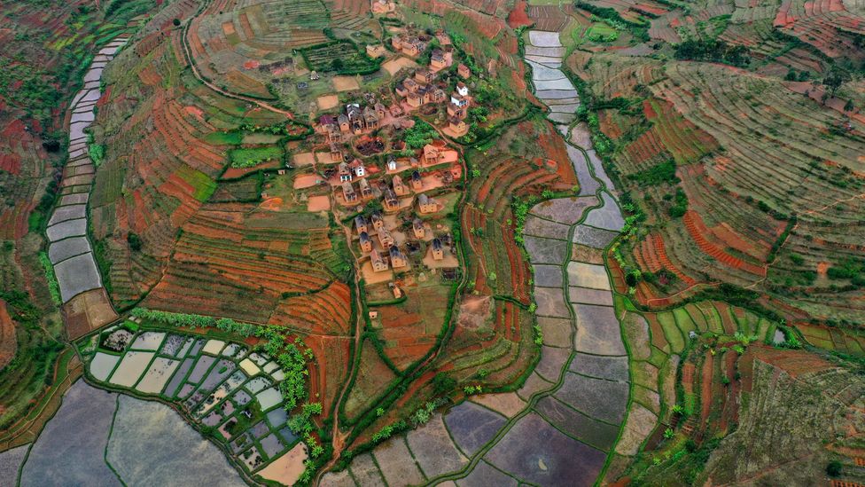 Humans are masters of trasforming landscapes to suit their own needs (Credit: Getty Images)