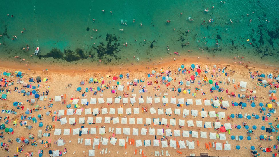 The world's coastlines are among the most densely populated areas on the planet (Credit: Alamy)