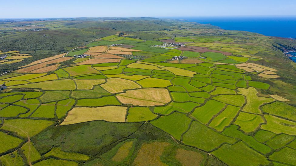 After the last Ice Age, Britain was cloaked in dense forest – the wildwood. But after thousands of years of settlement, today they cover just 13% of the land (Credit: Alamy)