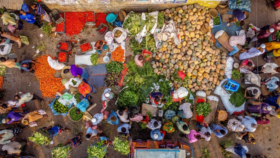 Today 38% of Earth's land surface is used to grow food or other products for humans (Credit: Getty Images)