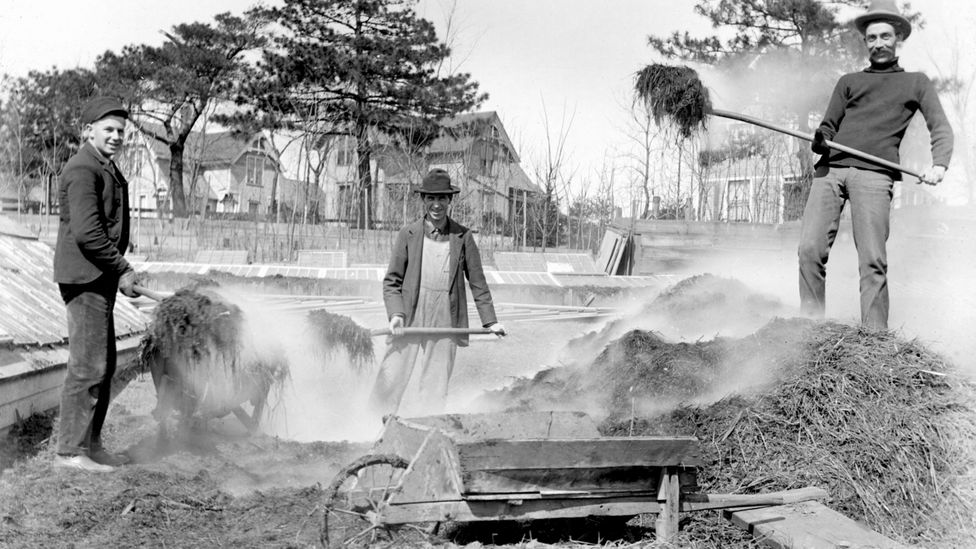 Before the rise of garden centres, most people made their own compost (Credit: Getty Images)