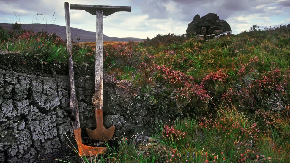 Peat harvesting tools at a bog in the Scottish highlands (Credit: Getty Images)