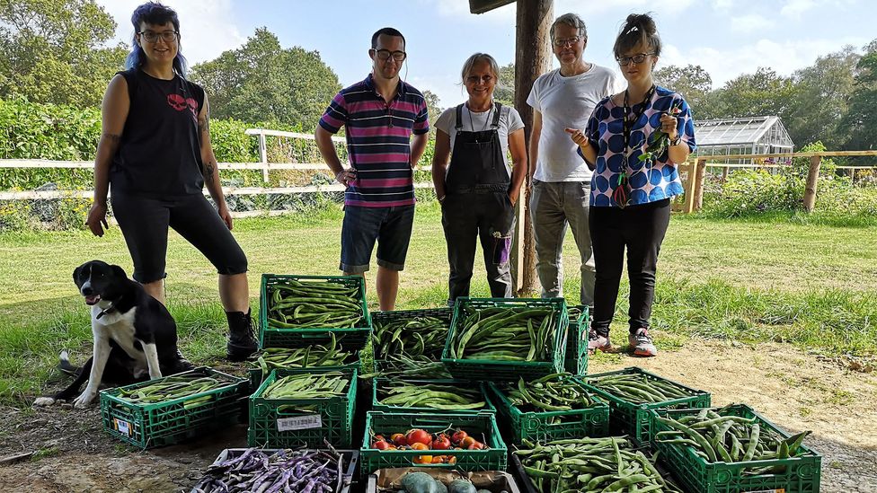 Through the Sussex Gleaning Network, volunteers help collect surplus harvest for people struggling with food poverty (Credit: Norman Miller)