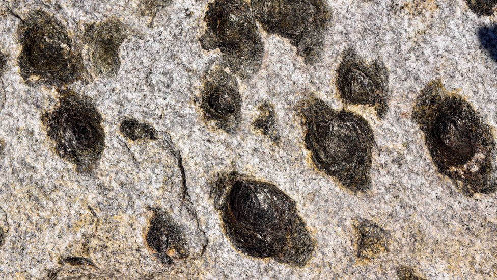 The 300-million-year-old Pedras Parideiras, or "Birthing Stones", are unlike any other rock on the planet (Credit: Biosphoto/Alamy)
