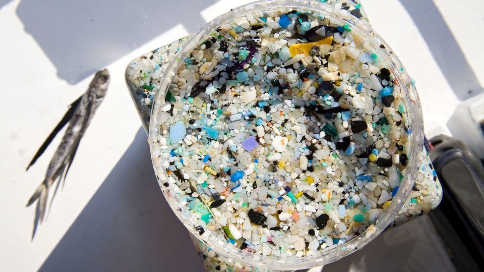 Drifting plastics break down into smaller microplastics which have been detected in sand on beaches all over the world (Credit: Alamy)