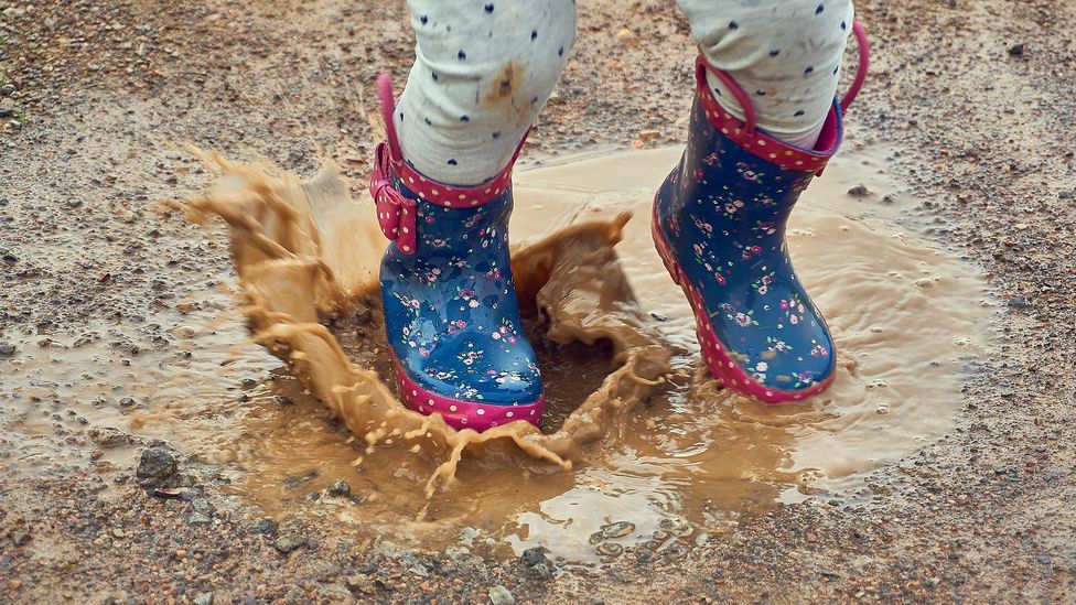 Dirt is teaming with friendly microorganisms that can train the immune system and build resilience to a range of illnesses, research shows (Credit: Getty Images)