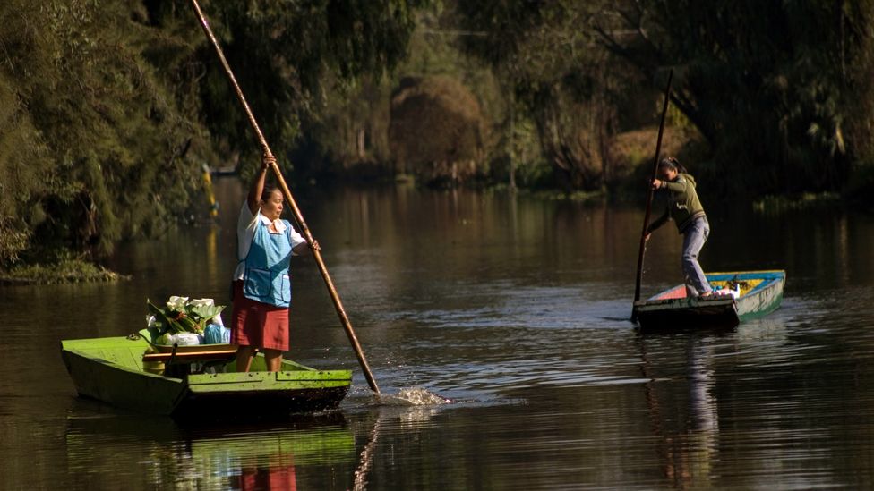 Covid-19 caused demand for local produce to soar, giving these ancient floating gardens a new lease on life (Credit: Anne Lewis/Alamy)