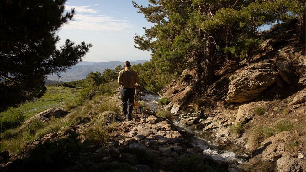 Jose Antonio Peña walks alongside an acequia that has been functioning continuously since the Middle Ages (Credit: Kira Walker)