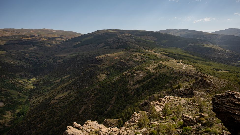 Snowmelt and rainfall runoff from the peaks of the Sierra Nevada is diverted into acequias, which channel water towards infiltration zones called simas (Credit: Kira Walker)