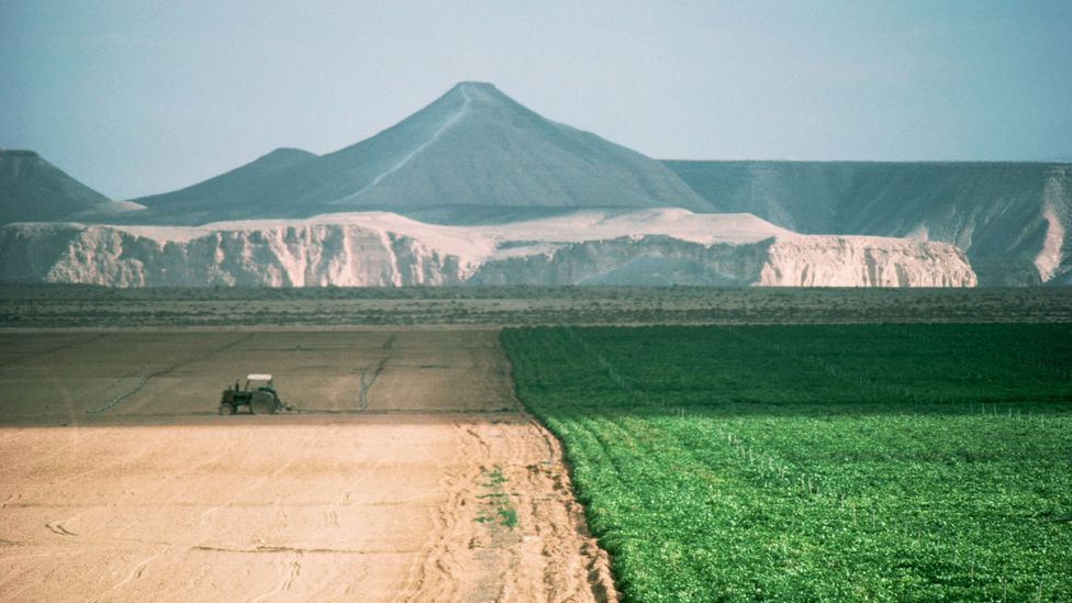 Negev'de birçok kibbutz topluluğu kuruldu ve Kibbutz Sde Boker gibi çölün yeşillenmesine yardımcı oldu (Kredi: Richard T Nowitz/Getty Images)