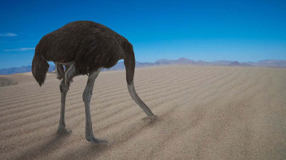 The 'ostrich effect' coping mechanism is hiding your head in the sand, shifting attention away from the upsetting situation so you don’t have to process it (Credit: Getty Images)