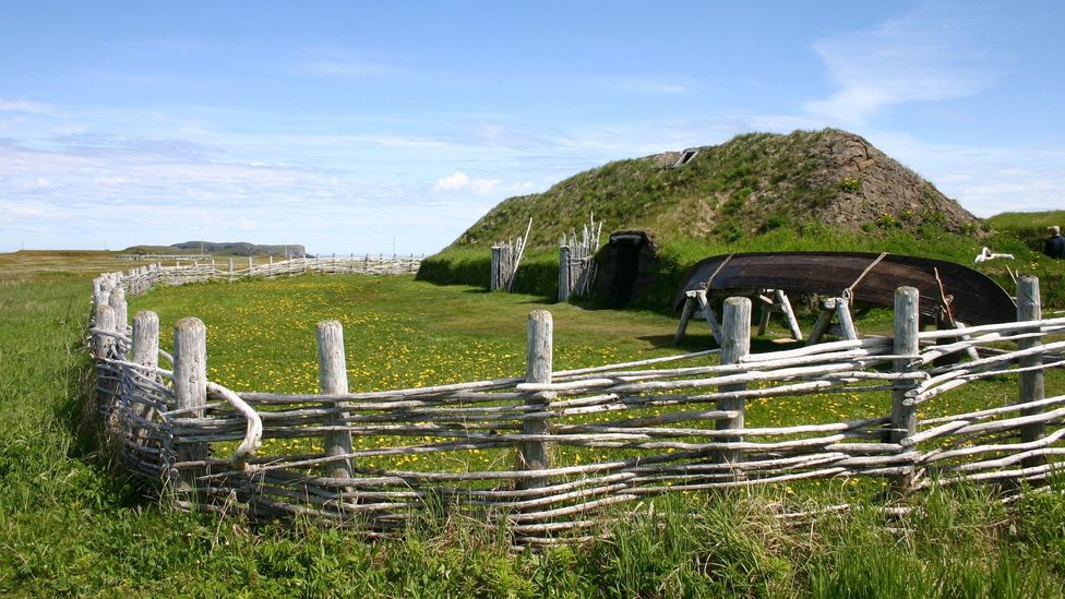 The Norse settlement of L'Anse aux Meadows in Newfoundland dates to at least 1021 CE, providing a timeframe for Viking activity in North America (Credit: Murphy_Shewchuk/Getty)
