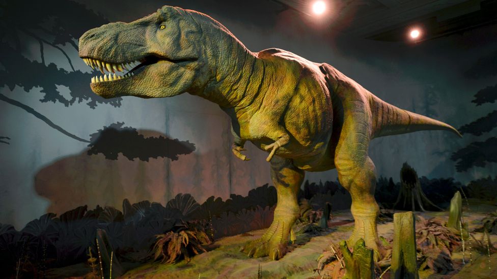 T. rex's tiny arms may have been used for lifting itself off the ground (Credit: Alamy)