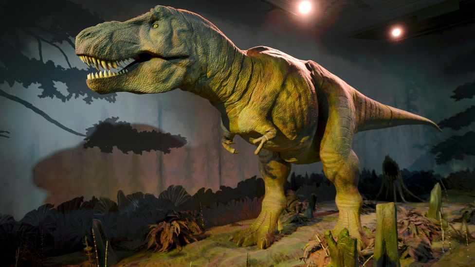 The 120-year search for the purpose of T. rex's arms - BBC Future