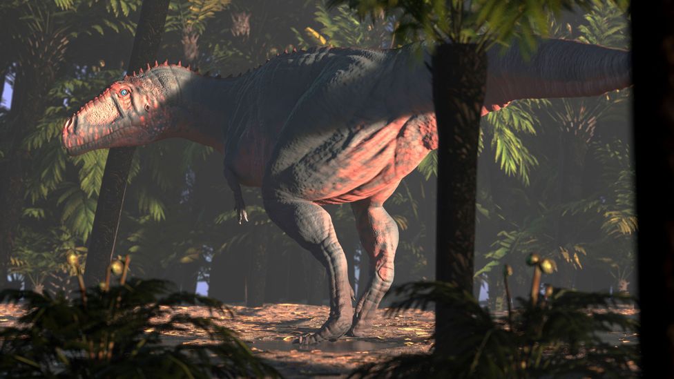 For decades, scientists thought the only dinosaurs with large heads and tiny arms were tyrannosaurs. Then they discovered Meraxes gigas in Patagonia in 2012 (Credit: Alamy)