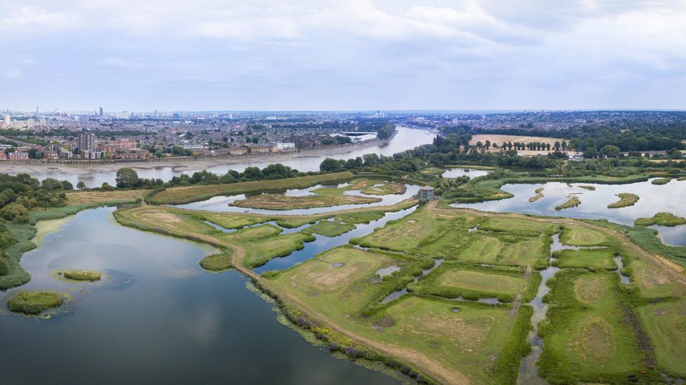 Participants of the blue prescribing scheme go for guided walks at the London Wetland Centre – a large urban wetland (Credit: WWT)