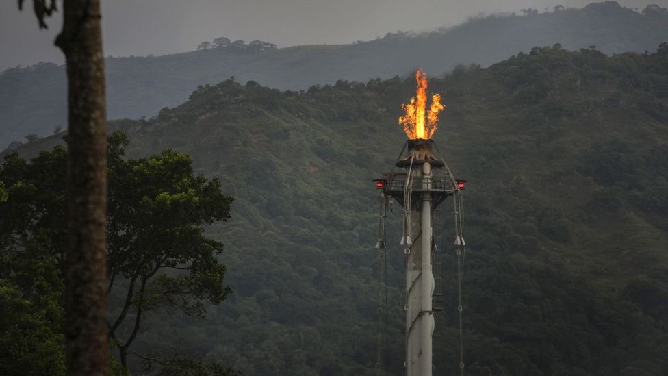 Oil is a major source of revenue in Colombia, but the country's new president has promised 'a green, not a black future' (Credit: J Torres/ Getty Images)