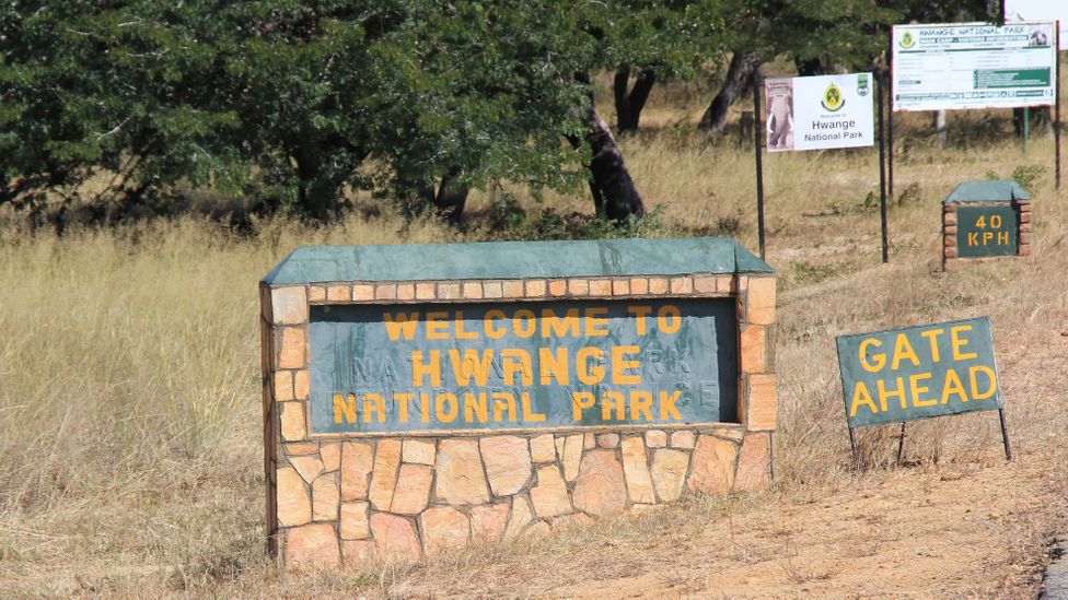 Hwange National Park is the largest park in Zimbabwe, covering an area of more than 14,600 sq km (Credit: Graham, David/Alamy)