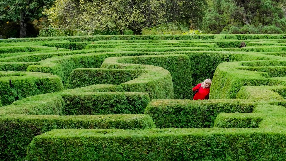 Some theories depict forgetfulness like being lost in a maze – you can't find the information but it hasn't gone (Credit: Michael Wheatley/Alamy)
