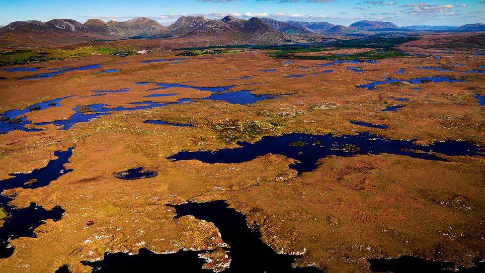 Peat covers roughly 20% of Ireland and has served as custodians of its history (Credit: Chris Hill/Getty Images)