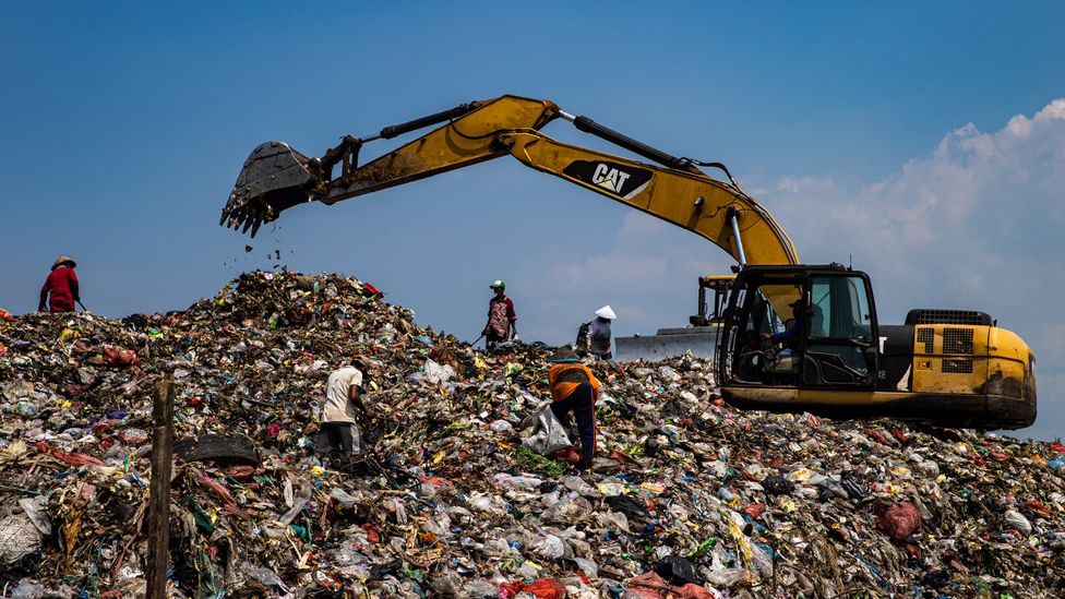 Industrial chemicals known as PCBs linger in landfills and escape into the marine environment, damaging mammals' reproductive systems (Credit: Robertus Pudyanto / Getty Images)