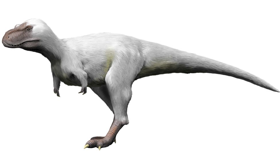 The polar dinosaurs revealing ancient secrets