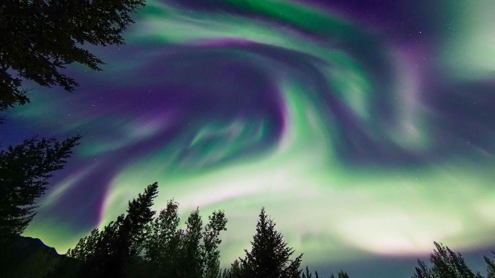 Polar dinosaurs would have witnessed regular displays of Aurora Borealis (Credit: Alamy)