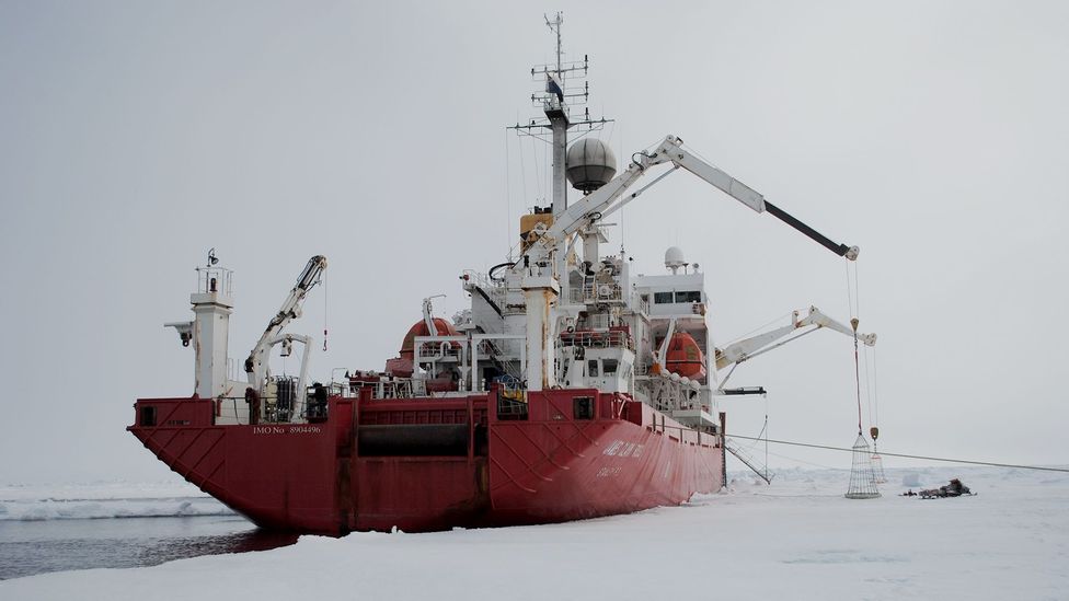 Expeditions on ships such as the James Clark Ross, seen here in 2010, have delved under the Arctic ice to find life (Credit: Richard Hollingham)