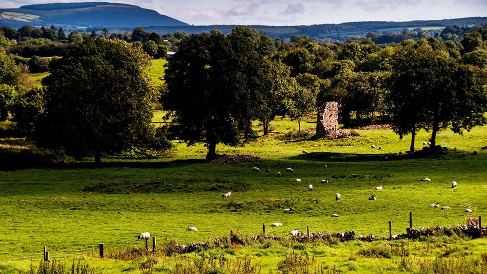 The O'Connells believe part of St Nick is buried on their land (Credit: Carol Di Rienzo Cornwell/Alamy)