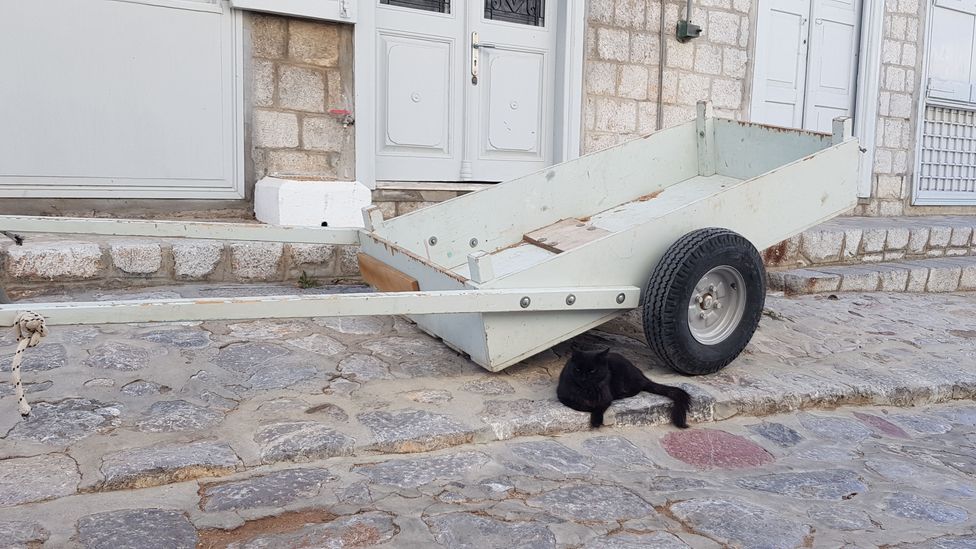 Hand carts are another popular means of transport on the island (Credit: Molly Dailide)