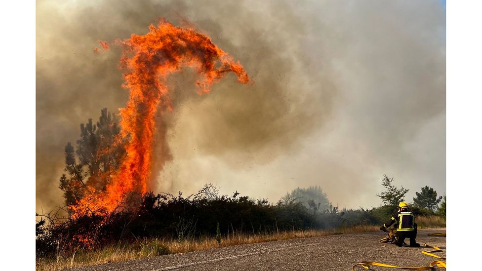 (Credit: Sxenick/EPA-EFE/Shutterstock)