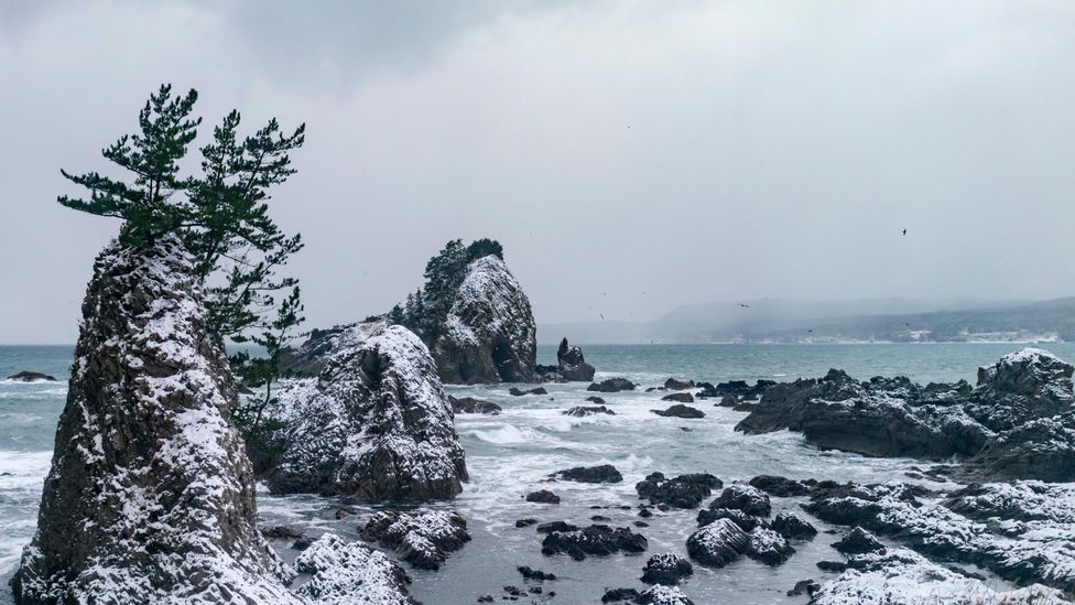 The Resort Shirakami is the only train to run directly along Japan's coastline