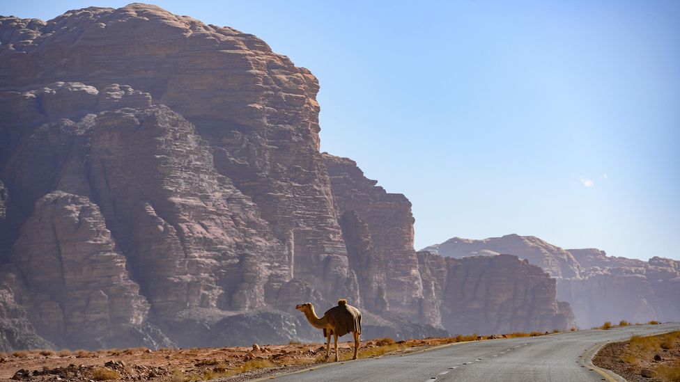 Caravans carrying spices once travelled along the highway to Petra (Credit: Travel Wild/Alamy)