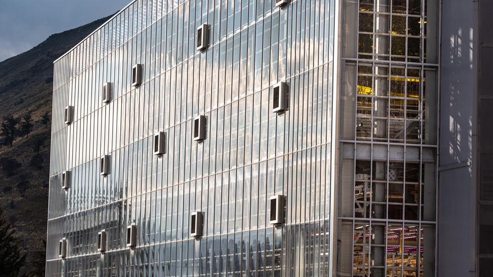 The urban Vertical Harvest in Jackson, Wyoming grows lettuce, micro greens and tomatoes in a large vertical hydroponic farm (Credit: George Rose/Getty Images)