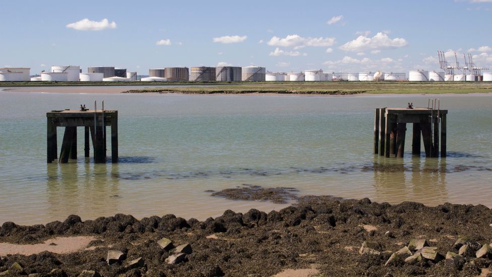 Canvey Wick was once a centre for the petrochemical industry (Credit: Chillingworths/Getty Images)
