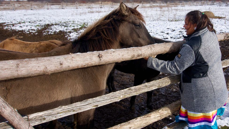 Cultural ambassador Maggie Downer sees the horses as "four-legged ambassadors" (Credit: Karen Gardiner)