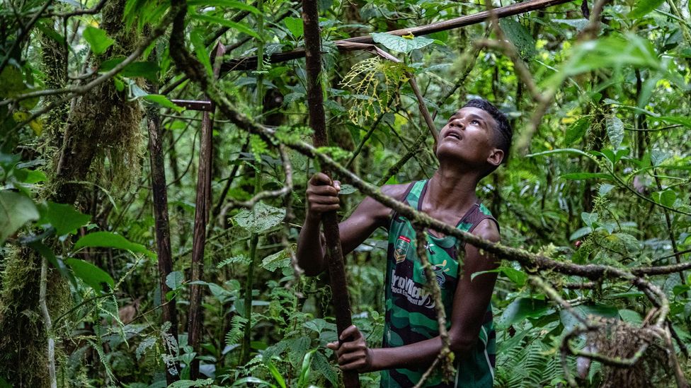 Village elders recommend hiring a guide for anyone trying to see the tagimoucia (Credit: Ben McKechnie)