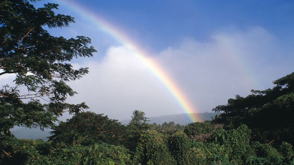 Locals say it always rains along the trail to see the tagimoucia (Credit: Horizon Internal Images/Alamy)