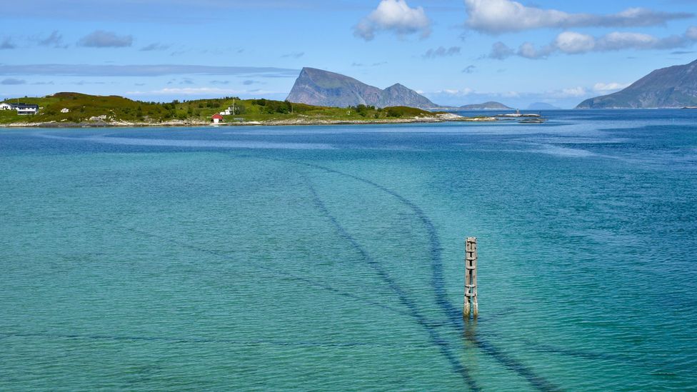  Ingunn B Haslekaas/Getty Images)