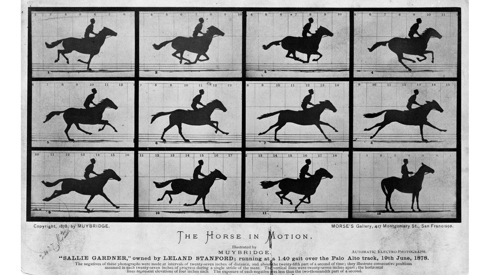 Animals have been at the centre of cinema ever since the first technology created Eadweard Muybridge's Horse in Motion (1878) (Credit: Getty Images)