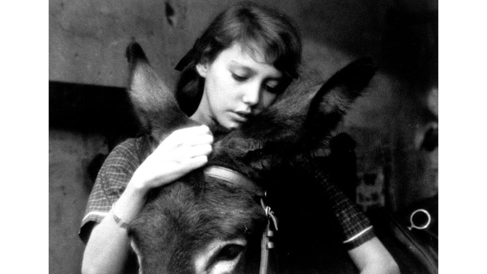 EO borrows its premise from Robert Bresson's 1966 film, Au Hasard Balthazar (Credit: Alamy)
