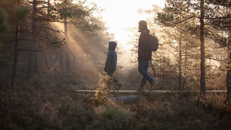 Families can easily get out into nature in Finland as forests cover more than 70% of the land area (Credit: Tiina & Geir/Getty Images)