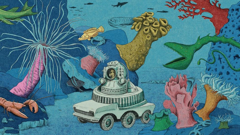 If we fail to explore remote ocean ecosystems, we may never know the rich biodiversity we risk destroying (Credit: Emmanuel Lafont)
