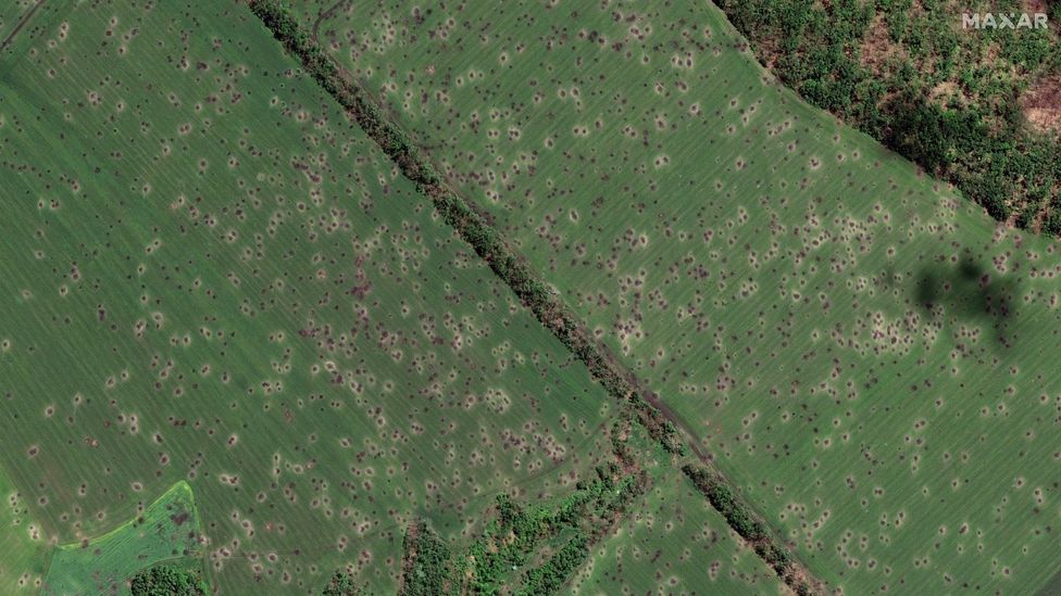 Satellite images can show changes in healthy vegetation by detecting burned land, craters and military movement (Credit: Maxar Technologies / Getty Images)