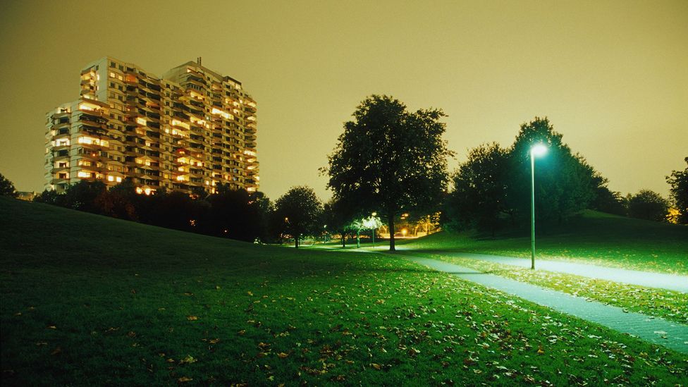 Trees bombarded by artificial lights retain their leaves longer than normal (Credit: Getty Images)