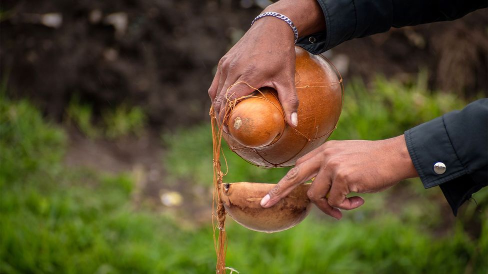 People drank chicha from calabazas, or calabash shells (Credit: VW Pics/Getty Images)