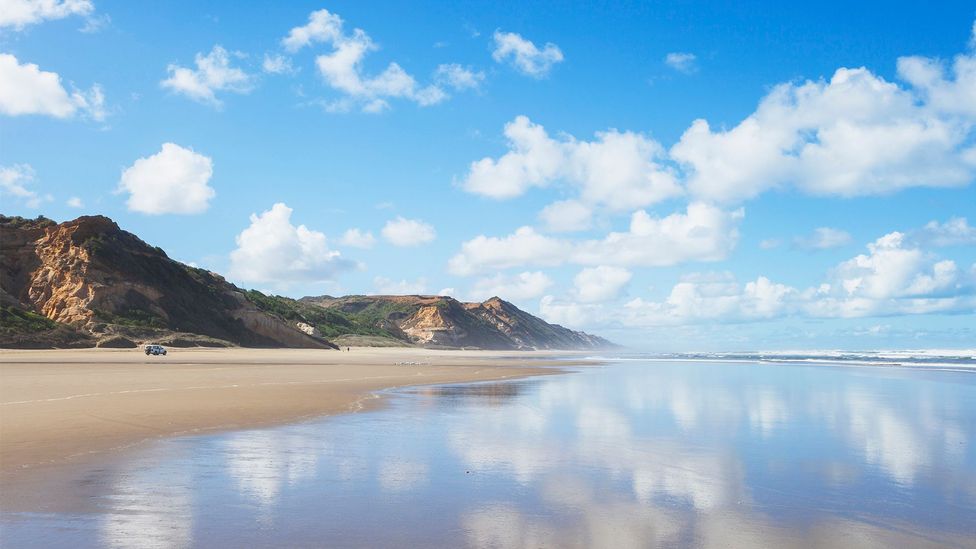 Toheroa são encontrados principalmente na costa oeste da Ilha Norte da Nova Zelândia, em lugares como Ripiro Beach (Crédito: Westend61/Getty Images)
